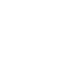 icon-professional